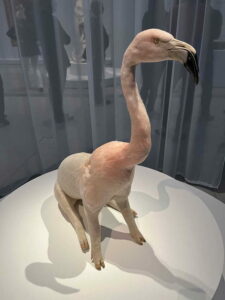 Les animaux fantastiques par Amélie Roptin-Neyron @ Musée Ingres Bourdelle | Montauban | Occitanie | France